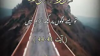 Beautiful view 65