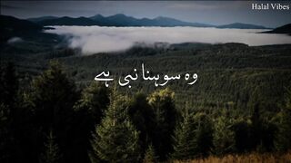 Wo Mera Nabi Hai - (Slowed+Reverb) - Syed Hassan Ullah - Beautiful Naat - Halal Vibes