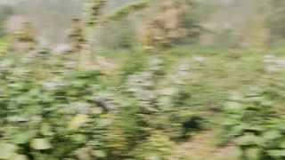 Footage of combined arms training during Super Garuda Shield 2023
