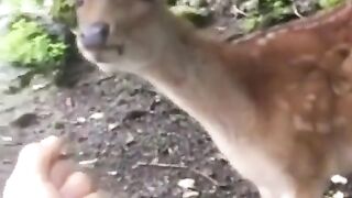 Funny | Hey There, Lil' Buddy: Want Some Feed? | FunFM