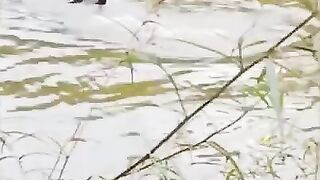 FULL FORCE DUCKY HAHA