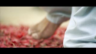 Maula Mere Maula Aankhein Teri Kitni Haseen Ke Inka Aashique - RoopKumar Rathod