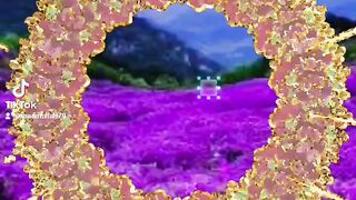 Top video 5