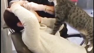 Kelucuan kucing random