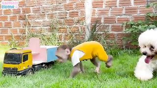 Carton funny baby