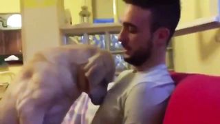 The dog which I have begun to hug suddenly