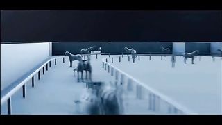 БОЙНИ КОЛЕСНИЦИ