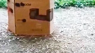This video is very comedy
