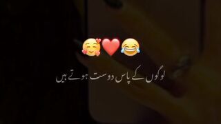 dedicated to my friends
