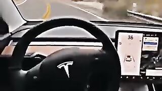 Tesla Autopilot