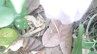 Animal lovers