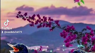 Top video 8