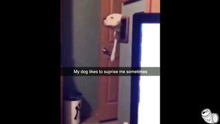 YOU LAUGH YOU PEEP | MEMES