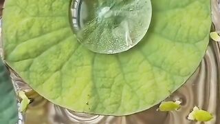 Nature of God 2