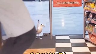 Funny???????????????????? 3