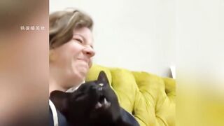 Watch funny videos of how cats and dogs sneeze when they have a cold