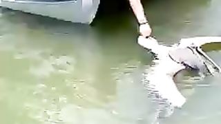 Nice ???? video 2