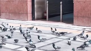 Makkah 33