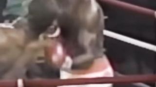 Mike Tyson’s signature combo ????????