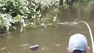 Big fish