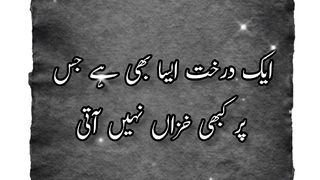 Musalman drakht Konsa hai #guidance #viralvideo @Kashaf butt