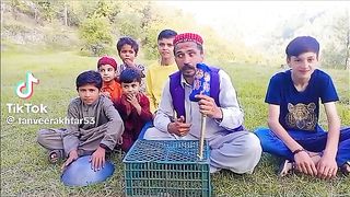 Funny videos 354
