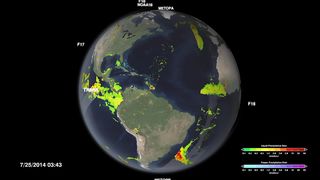 A Week in the Life of Rain