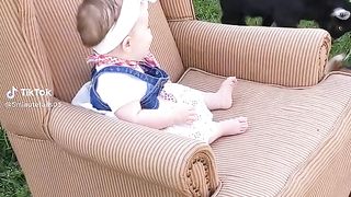 Funny videos 356