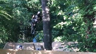 BMX freestyle involves performing tricks and stunts on ramps, 5