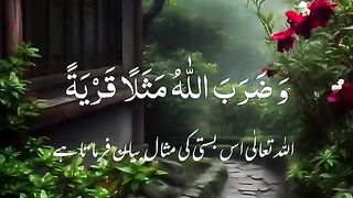 Quran and nature