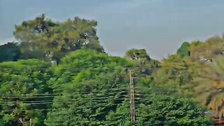 Salama path