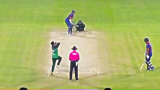 How to cricket video