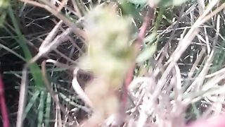 Animal lovers