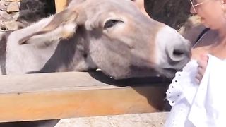funny video 307
