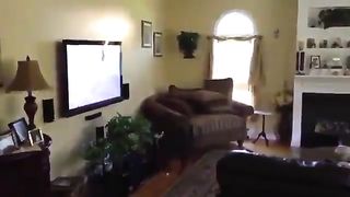 The dog which exercises