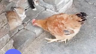 OH NO! HEHEHELP