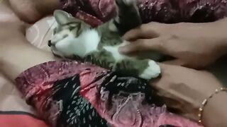 Funny cat 213