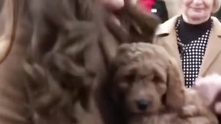 cute moment