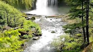 Nice place 9