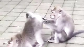 What is she looking for?