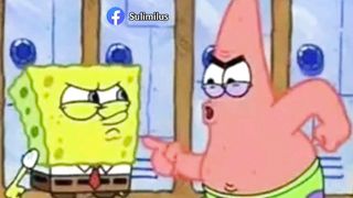 KOMPILASI VIDEO LUCU HEWAN