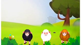 Baa baa black sheep