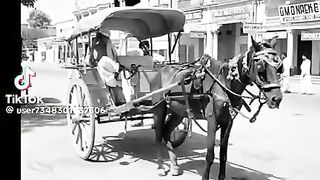 History 15