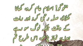 | Hadees Shorts |  Status