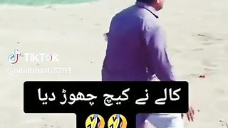Local Cricket video