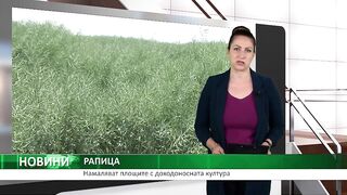 Agro TV Bulgaria : ПЛОЩИТЕ С РАПИЦА У НАС НАМАЛЯВАТ