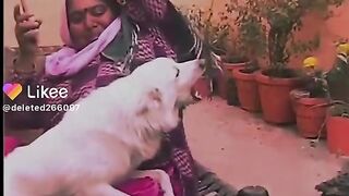 Punjabi funny video 5