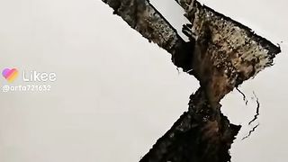 Information video 2