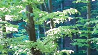 Beautiful nature 97