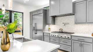 How to Get Rid of Cockroaches from Kitchen Cabinets for Good